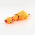 Hot Sell Screaming Chicken - Image 6