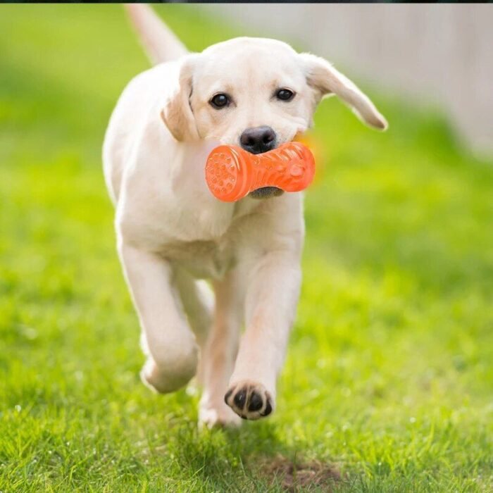 Durable Rubber Dog Chew Toy: Interactive Puppy Teething & Play Bone - Image 6