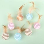 Interactive Sisal and Feather Cat Toy