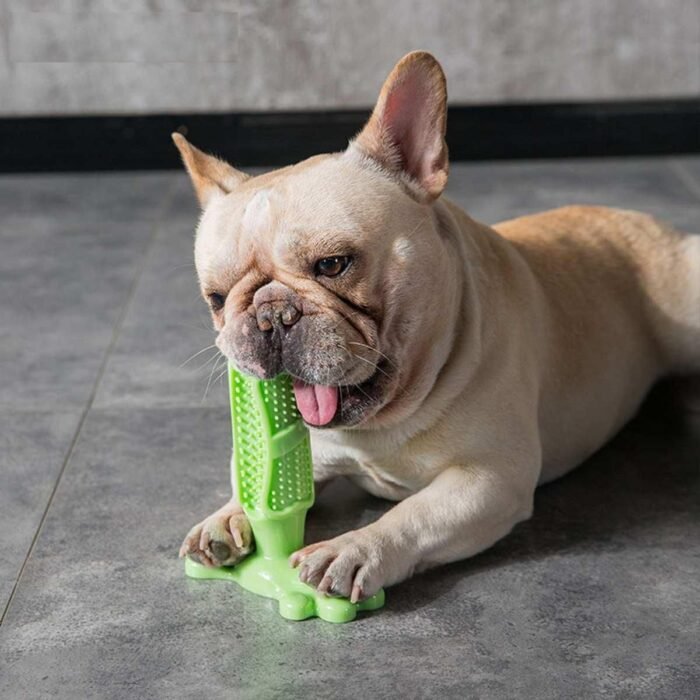 Chewable Toothbrush - Image 1