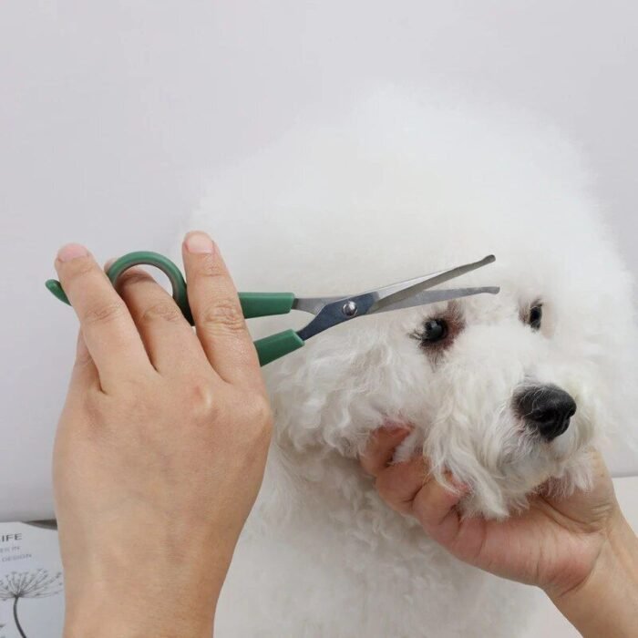Round-Tip Professional Pet Grooming Scissors for Dogs and Cats - Image 6