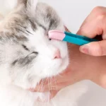 Soft Silicone Eye Comb Brush for Gentle Pet Tear Stain Removal
