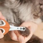 Professional Dog and Cat Nail Clipper - Image 5