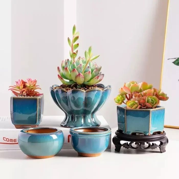Elegant Glazed Ceramic Pots for Succulents and Small Plants - Image 1