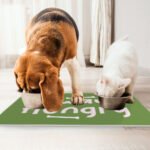 Always Hungry Pet Food Mat - Funny Anti-Slip Pet Bowl Mat - Best Design Pet Feeding Mat - Image 4