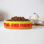 Cute Kawaii Pet Bowl - Trendy Dog Bowl - Printed Pet Food Bowl - Image 4