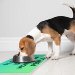 I Love Dogs Pet Food Mat - Printed Anti-Slip Pet Bowl Mat - Quotes Pet Feeding Mat - Image 5