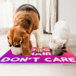 Dog Hair Don't Care Pet Food Mat - Funny Design Anti-Slip Pet Bowl Mat - Cool Design Pet Feeding Mat - Image 4
