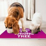 Funny Design Pet Food Mat - Cool Quotes Anti-Slip Pet Bowl Mat - Graphic Pet Feeding Mat - Image 4