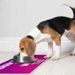 Funny Design Pet Food Mat - Cool Quotes Anti-Slip Pet Bowl Mat - Graphic Pet Feeding Mat - Image 5