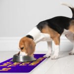 Cool Saying Pet Food Mat - Best Quote Anti-Slip Pet Bowl Mat - Printed Pet Feeding Mat - Image 5