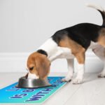 Life is Better With a Dog Pet Food Mat - Best Design Anti-Slip Pet Bowl Mat - Printed Pet Feeding Mat - Image 5