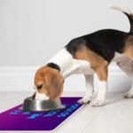 Funny Design Pet Food Mat - Sarcastic Anti-Slip Pet Bowl Mat - Cool Saying Pet Feeding Mat - Image 5