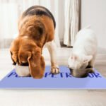 Cute Funny Pet Food Mat - Creative Anti-Slip Pet Bowl Mat - Cool Design Pet Feeding Mat - Image 4