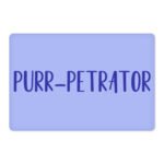 Cute Funny Pet Food Mat - Creative Anti-Slip Pet Bowl Mat - Cool Design Pet Feeding Mat