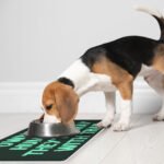 Funny Pet Food Mat - Printed Anti-Slip Pet Bowl Mat - Cool Pet Feeding Mat - Image 5
