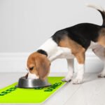Keep Calm Pet Food Mat - Trendy Anti-Slip Pet Bowl Mat - Printed Pet Feeding Mat - Image 5