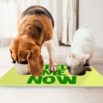 Feed Me Pet Food Mat - Cool Anti-Slip Pet Bowl Mat - Best Design Pet Feeding Mat - Image 4
