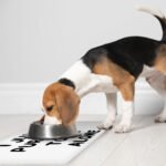 Cute Funny Pet Food Mat - Creative Anti-Slip Pet Bowl Mat - Printed Pet Feeding Mat - Image 5