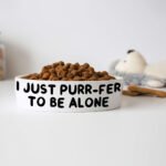 Cute Funny Pet Bowl - Creative Dog Bowl - Printed Pet Food Bowl - Image 4