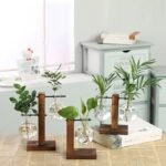 Terrarium Hydroponic Plant Vases