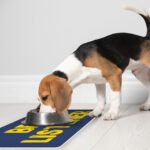 Listener Pet Food Mat - Funny Anti-Slip Pet Bowl Mat - Cool Pet Feeding Mat - Image 5