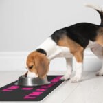 I'm Not a Cat Pet Food Mat - Cute Anti-Slip Pet Bowl Mat - Printed Pet Feeding Mat - Image 5