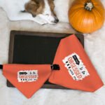My Mom Is So Obsessed With Me Pet Bandana Collar - Art Scarf Collar - Unique Dog Bandana - Image 7