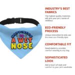 Happiness Is a Wet Nose Pet Bandana Collar - Colorful Scarf Collar - Quote Dog Bandana - Image 9