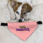 Little Monster Pet Bandana Collar - Unique Scarf Collar - Word Print Dog Bandana - Image 6