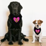 Happy Dog Happy Life Pet Bandana Collar - Phrase Scarf Collar - Art Print Dog Bandana - Image 5