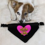 Happy Dog Happy Life Pet Bandana Collar - Phrase Scarf Collar - Art Print Dog Bandana - Image 6
