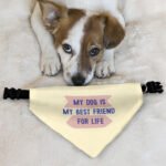 My Dog Is My Best Friend Pet Bandana Collar - Cute Scarf Collar - Art Dog Bandana - Image 6