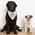 My Dog Is My Best Friend Pet Bandana Collar - Cute Scarf Collar - Art Dog Bandana - Image 5