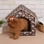 Foldable Pet House