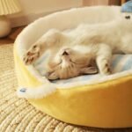 Luxury Velvet Round Cat Bed - Image 5