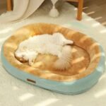 Cozy Comfort Cotton Pet Bed for Cats and Small Dogs - Image 3