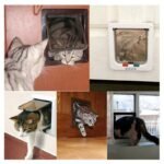 Versatile 4-Way Locking Pet Flap Door - ABS Plastic Cat & Dog Entry System - Image 5