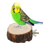Natural Wooden Bird and Small Pet Perch - Image 2