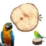 Natural Wooden Bird and Small Pet Perch - Image 8