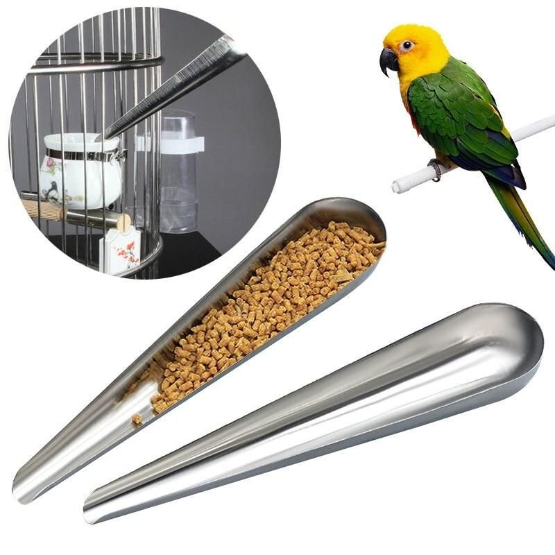 92678-39b792.jpeg Stainless Steel Parrot Food Spoon - Image 1
