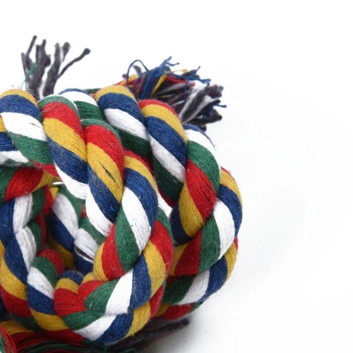 Colorful Parrot Swing Toy - Image 4