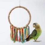 Colorful Cotton Rope Parrot Swing & Perch Toy for Cage Enrichment - Image 5