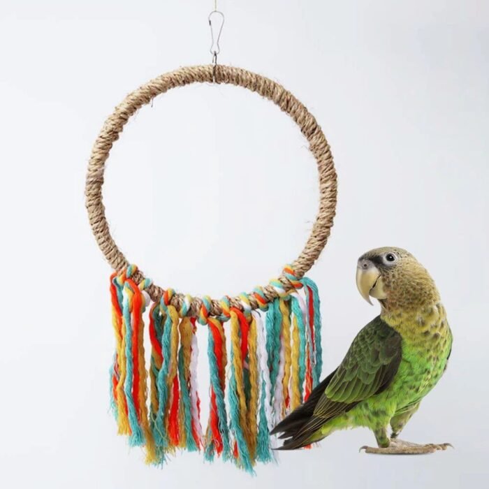 Colorful Cotton Rope Parrot Swing & Perch Toy for Cage Enrichment - Image 5