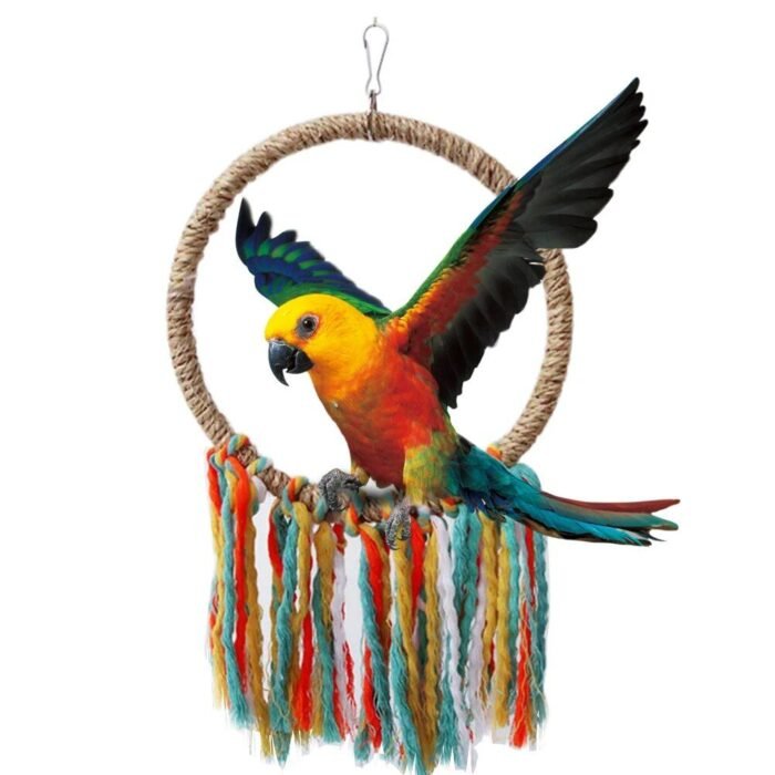 Colorful Cotton Rope Parrot Swing & Perch Toy for Cage Enrichment - Image 3