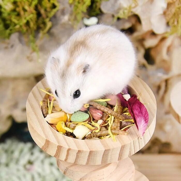 Charming Wooden Pet Food Bowl for Small Animals - Image 7