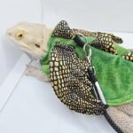 Stylish Bearded Dragon Vest Harness with Leash - Image 3