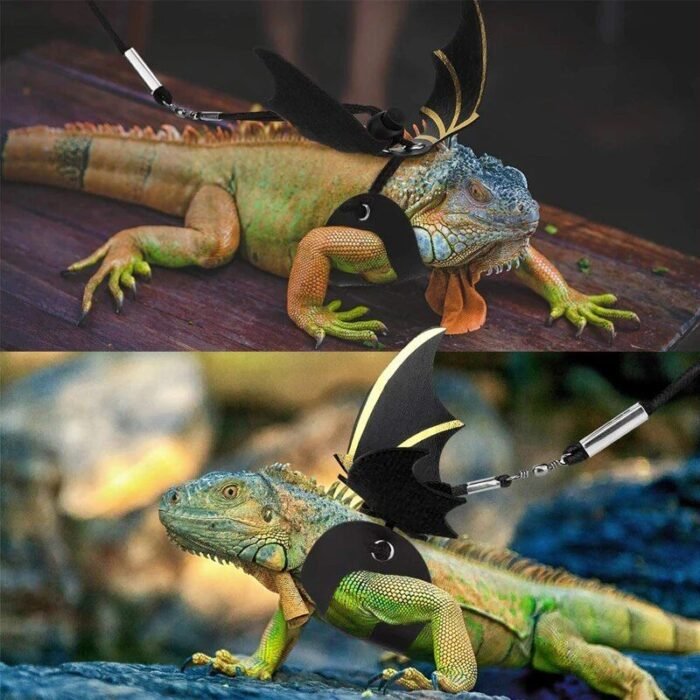 Adjustable Leather Bearded Dragon Harness & Leash Set with Wings - Image 3