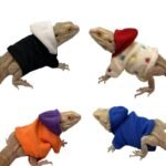 Reptile Hoodie for Bearded Dragons and Geckos - Image 2