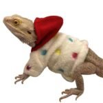 Reptile Hoodie for Bearded Dragons and Geckos - Image 5